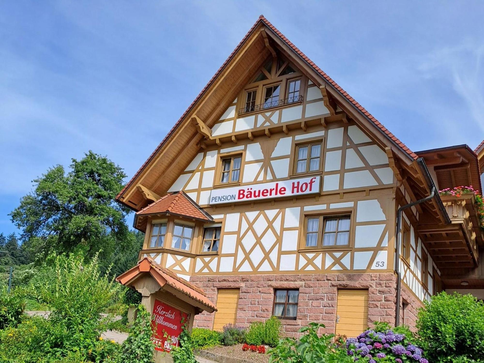 Отель Baeuerlehof Зеебах Экстерьер фото